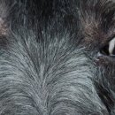 씽씽 동물의료센터 이미지