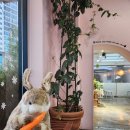 만덕대성아파트 경로당 | 부산 만덕 브런치 카페 이상한 나라의 밀가루 공장 (이밀공) 내돈내산 추천