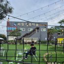 애니펫동물병원 이미지