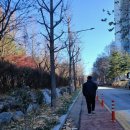 황금내근린공원 이미지