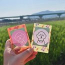 마이리틀메이트 이미지