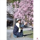 3월27-30 교토의 봄,아라시야마 벚꽃(1) 이미지