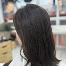 지축보그헤어 이미지