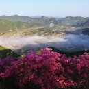 무주주유소 이미지