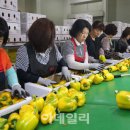 운봉농협 농산물산지유통센터 이미지