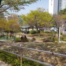 배산공원 주차장 이미지