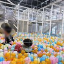 군포우신정비센타 | 📌 군포 키즈카페 송이나래｜운영시간 변경 꼭 확인! 1500원 갓성비 키즈존 후기