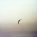 우리서울내과의원 이미지