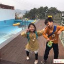 쉐이리코타키나 이미지