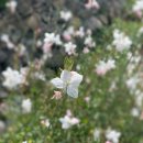 영은축산 이미지