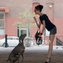 oh my dog(오마이독) 이미지