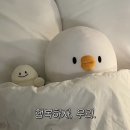 혼키라멘 이미지