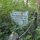 봉의산성 네이버블로그