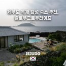 팀그로우 | 제주 독채 감성 숙소 추천! 슬로우그로우라이프 내돈내산 숙박후기! 가격, 예약방법 등