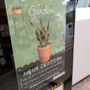 서부건강지원센터 | 서울서부근로자건강센터 [나만의 화분 만들기] 참여 후기