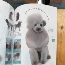 그루밍조이 이미지