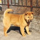 우리두리 이미지