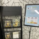 예술 그 위대한 여정 이미지