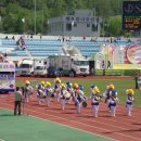 예천공설운동장 이미지