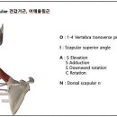 드래곤프로핏센터 네이버블로그