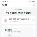 9월19일 캣츠랑 받으셨나요? 이미지
