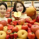 황금당 뉴스핌