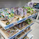 [서울 삼성역] (스타필드 코엑스몰, 현대백화점 무역센터점) 조명가게 팝업, 스트릿, 별마당 도서관...