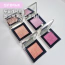 페이스투 | 쿨톤이 써본 투슬래시포 올 오버 페이스 블러쉬 바닐라 크러쉬, 4종 솔직후기 (애교살 하이라이터 활용...