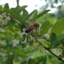 고덕농장 이미지