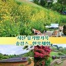 호수공원소나무숲길 | 서산 가볼만한곳 유기방가옥 수선화축제 끝, 한옥스테이, 한옥숙소 숲캉스 애견동반