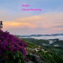 부부농장발전소 3호 | 달랏(Dalat)_여자 혼자여행, 만원의행복 ? 일출 운해/ 구름사냥(Cloud Hunting) 라도택시 찐 후기(강추)