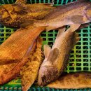 스카이좌대낚시터 이미지