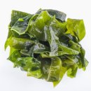 at센터 맞은편 이미지