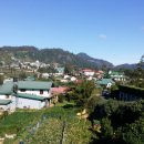 썬플라워펜션 이미지