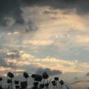 하늘공원 이미지