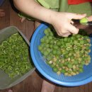 생숯불갈비 이미지