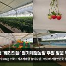 백사농장 이미지