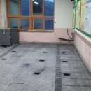 흥전초등학교 이미지