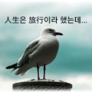 인생여행