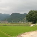큰골사슴 Daum카페