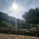 청풍호 주변 학현아름마을 오토캠핑장 두가족 캠핑 + 주변카페