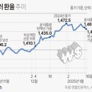 고환율에 수입물가 급등… 원부자재·중간재 원가 부담 이미지