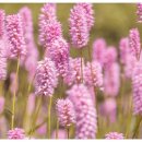 선교 행정사사무소 이미지