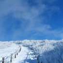 Re:신년산행 소백산 비로봉(1439m)연화봉(1384m) 이미지