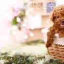 몽몽이하우스 인천연수점 이미지