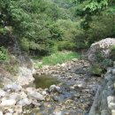 숲속에 우산정원 이미지