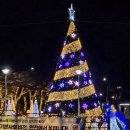 온천지 크리스마스트리 이미지