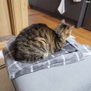 지에스만수천사 | 2022년 02월 주간일상 3.