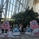 아 곡 | 아ㅋㅋ이걸 해준다고?_원더리벳 2025 후기(셋리 포함)