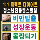 용인대 유도 체육관 이미지